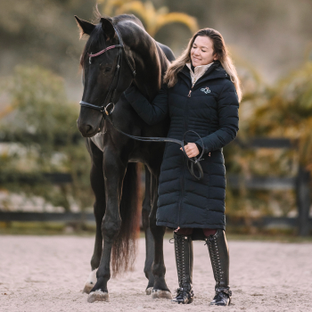 dressage training services